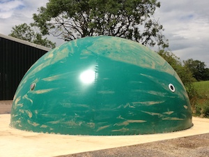 Oakfields farm membrane gas holder in green